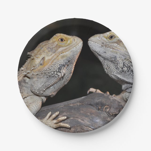 Bearded dragon paper plate (Front)