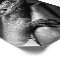 Bearded Dragon photographic poster