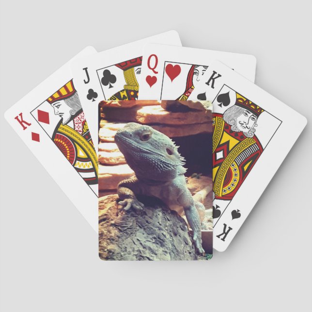 Bearded Dragon Playing Cards (Back)