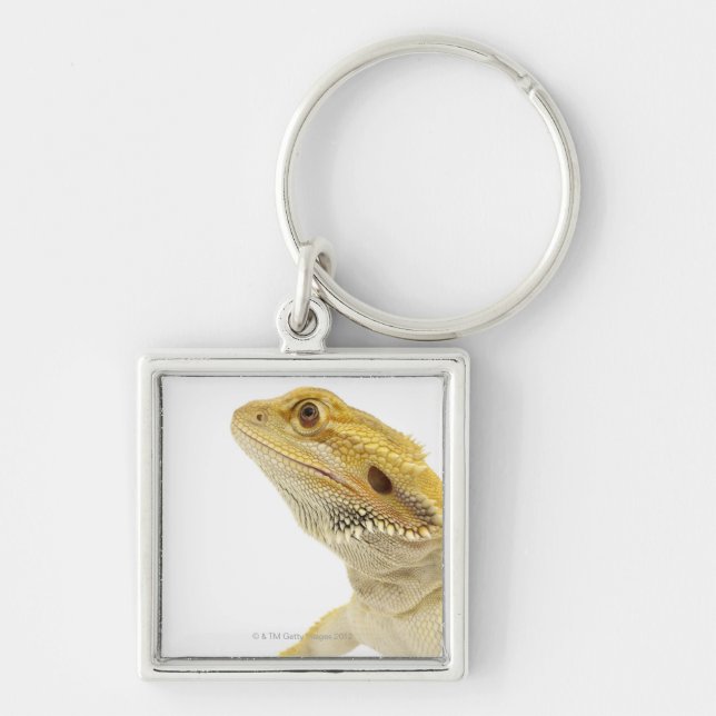 Bearded dragon (Pogona Vitticeps) Keychain (Front)