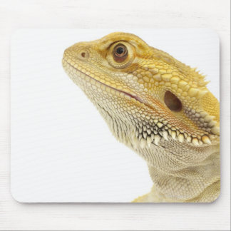 Bearded dragon (Pogona Vitticeps) Mouse Pad