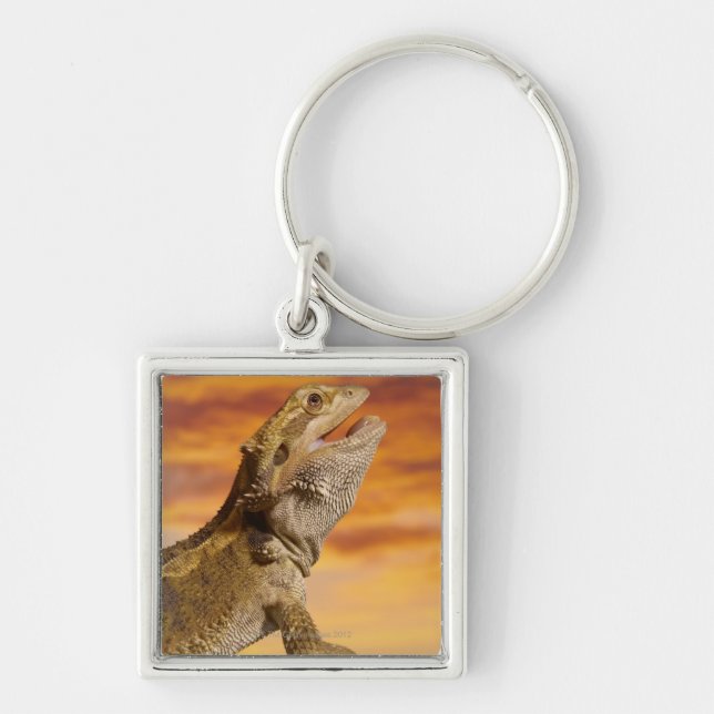 Bearded dragon (Pogona Vitticeps) on rock, Keychain (Front)