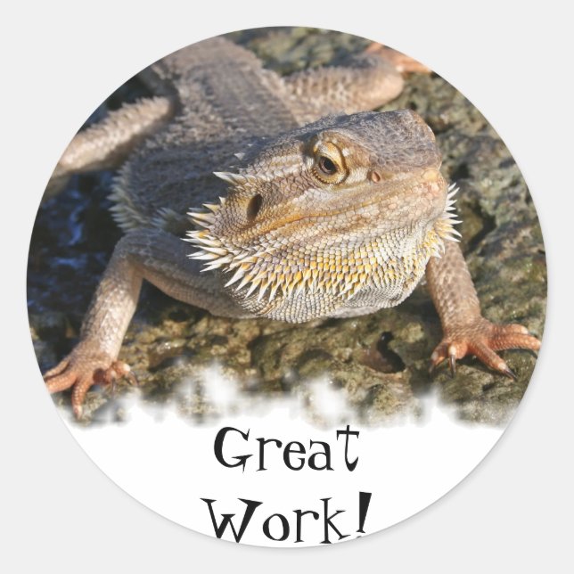 Bearded Dragon Series Classic Round Sticker (Front)