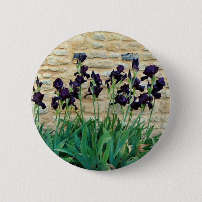 Bearded Iris Badge 2 Inch Round Button (Front)