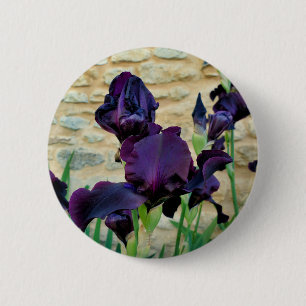 Bearded Iris Badge 2 Inch Round Button