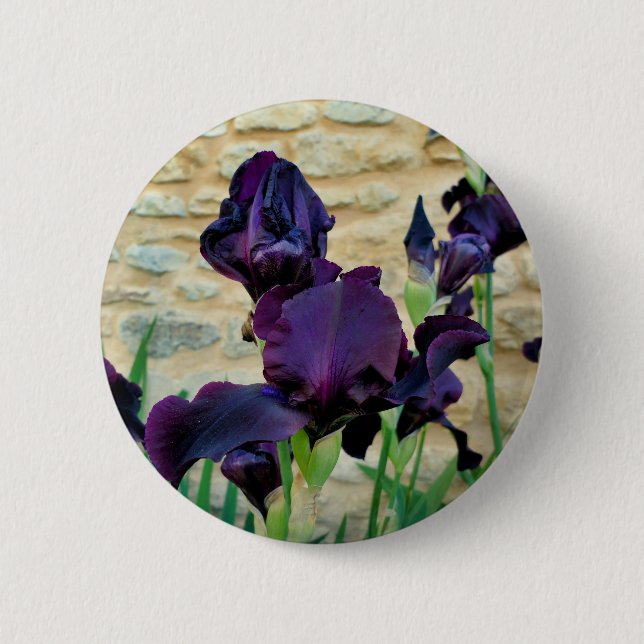 Bearded Iris Badge 2 Inch Round Button (Front)