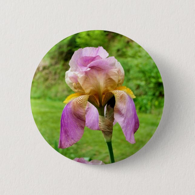 Bearded Iris Badge 2 Inch Round Button (Front)