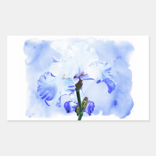 Bearded Iris - Blue And White Sticker (Front)