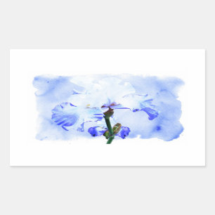 Bearded Iris - Blue And White Sticker