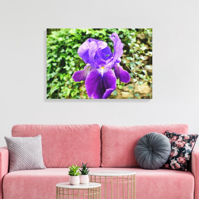 Bearded Iris Canvas Print (Insitu(LivingRoom))