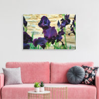 Bearded Iris