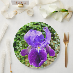 Bearded Iris Paper Plate