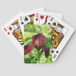 Bearded Iris Playing Cards