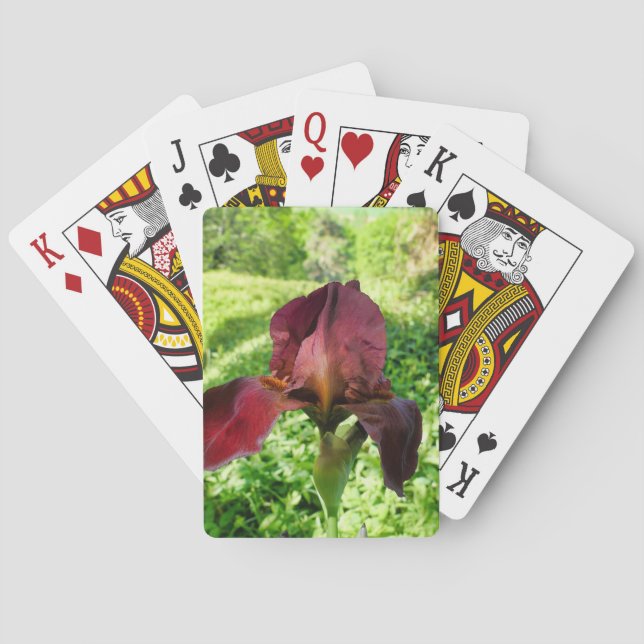 Bearded Iris Playing Cards (Back)