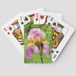 Bearded Iris Playing Cards