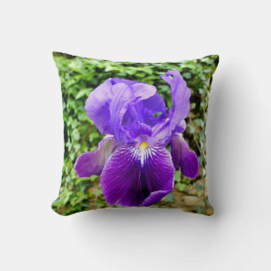 Bearded Iris Throw Cushion