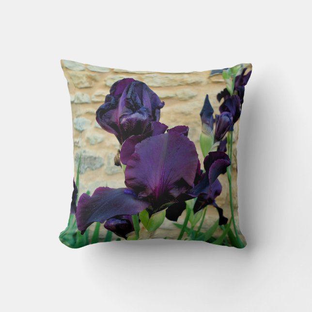 Bearded Iris Throw Cushion (Front)