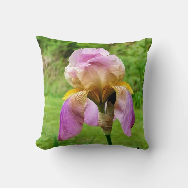 Bearded Iris Throw Cushion (Front)