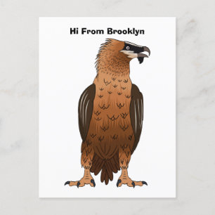Bearded Vulture cartoon illustration Postcard