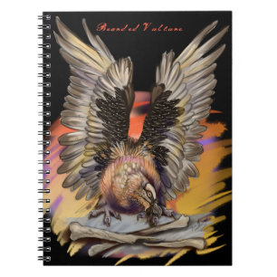 Bearded Vulture Notebook