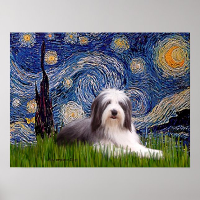 Beardie 2 - Starry Night Poster (Front)