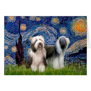 Beardie Pair 1 - Starry Night - Customized