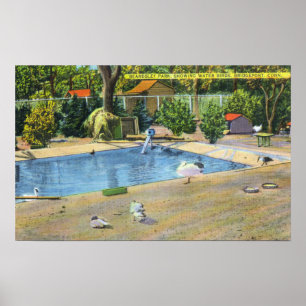 Beardsley Park View of Waterbirds Poster