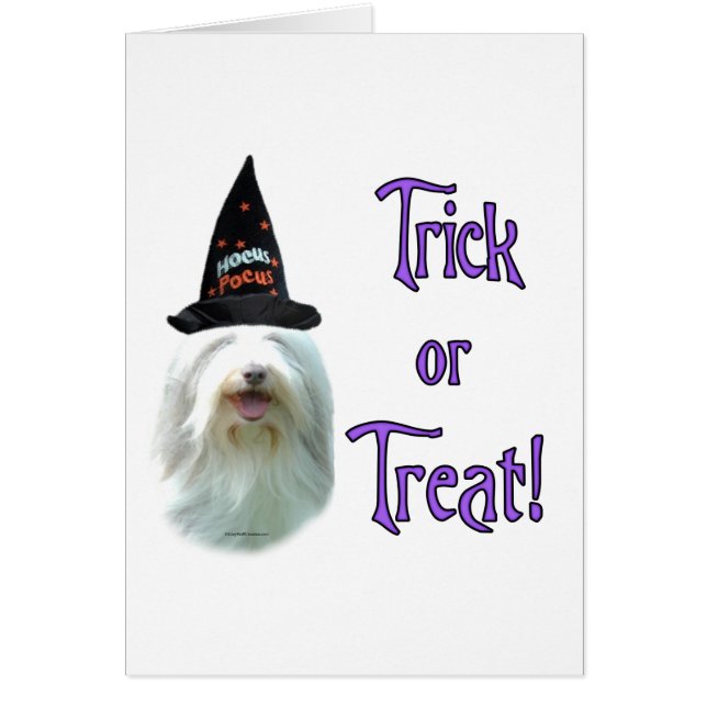 Beared Collie Trick (Devant)