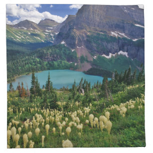 Beargrass above Grinnell Lake in the Many Napkin