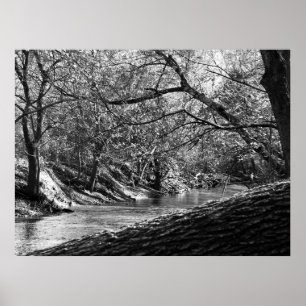 Beargrass Creek (Black & White Photo Print) Poster