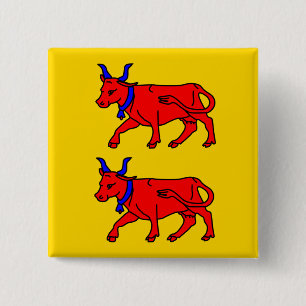 Bearn, France flag 2 Inch Square Button