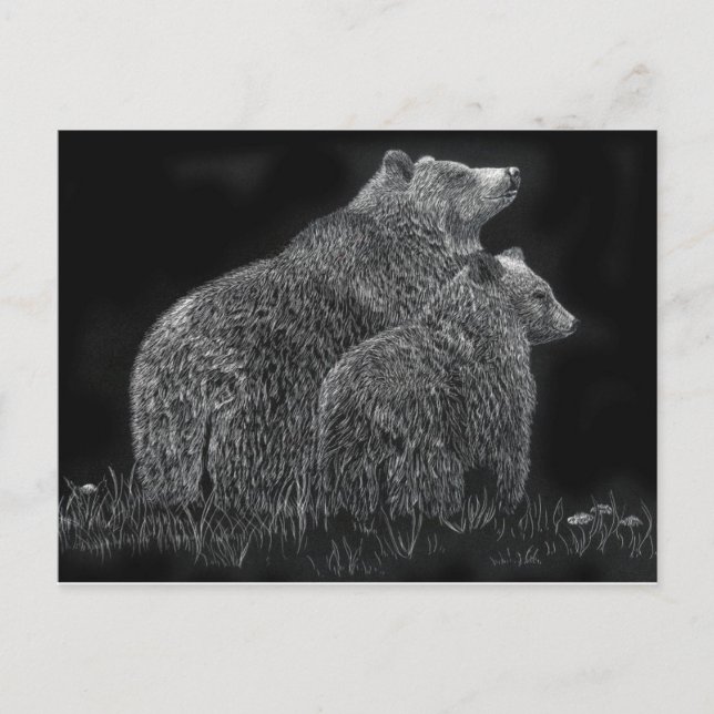 Bears Animal Scratchboard Black and White Art Postcard (Front)