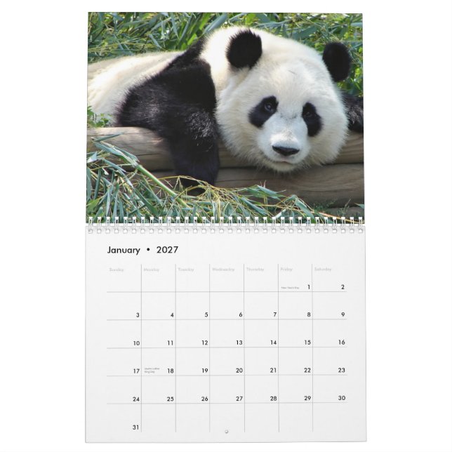 Bears Calendar (Jan 2027)