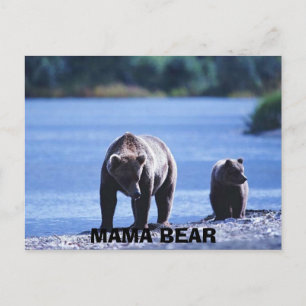bears, MAMA BEAR Postcard