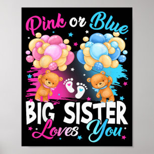 Bears Nk Or Blue Big Sister Loves You Gender Revea Poster