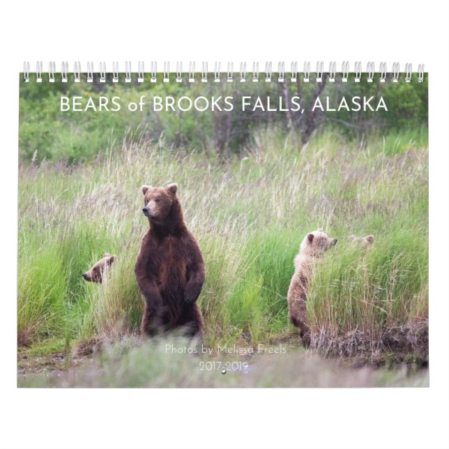 Bears of Brooks Falls - 2021 Calendar (Cover)