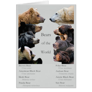 Bears of the World