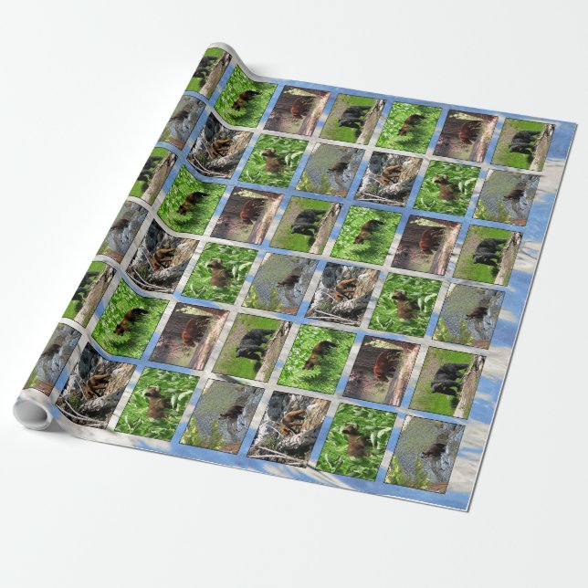 Bears Wrapping Paper (Unrolled)