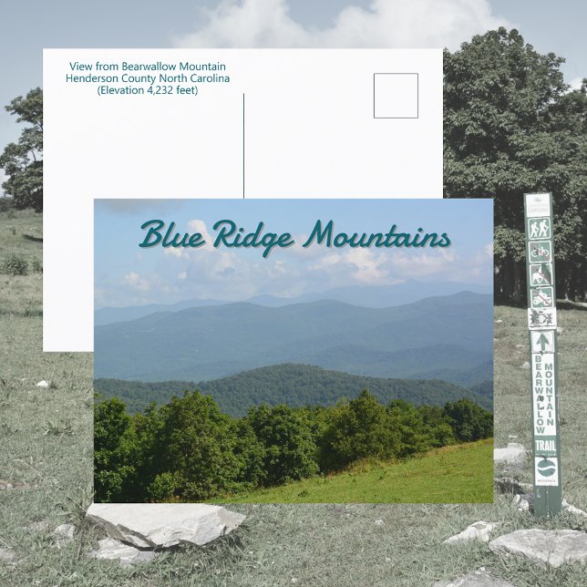 Bearwallow Mountain View Photographic Postcard (Creator Uploaded)
