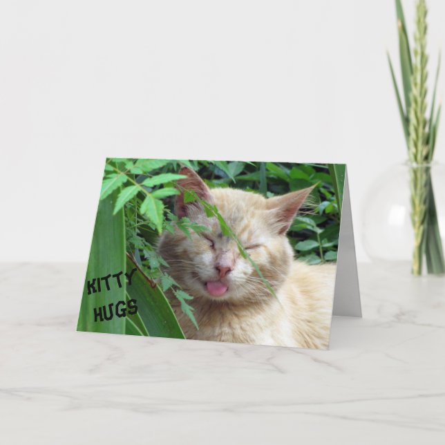 Beast's Kitty Hugs Birthday Card (Front)