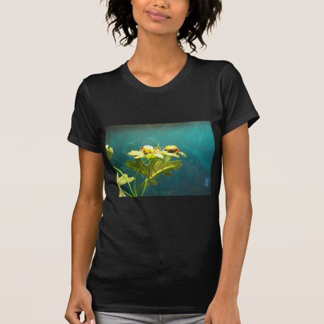 beatles T-Shirt (Front)