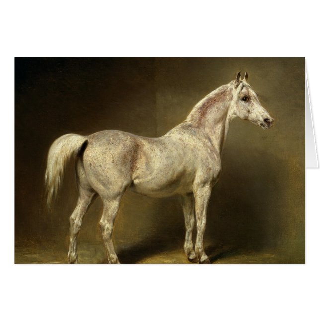 Beatrice' (Front Horizontal)