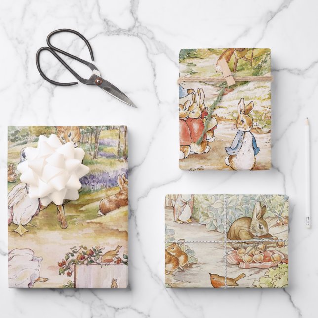 Beatrix Potter Cute Peter the Rabbit and Friends Wrapping Paper Sheet (Front)