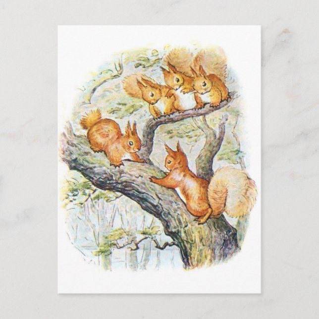 Beatrix Potter Illustration Nutkin + Squirrels Postcard (Front)