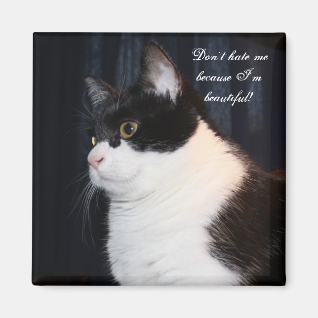 Beau aimant de chat (Devant)
