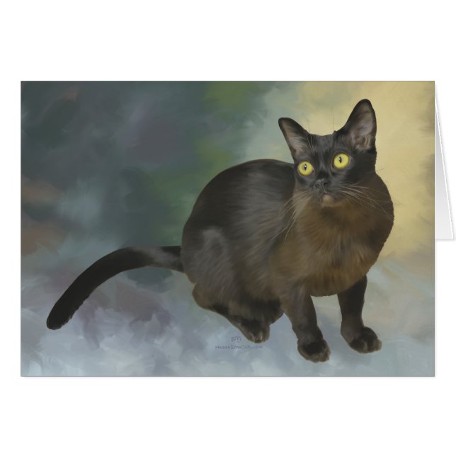 Beau birman (Devant horizontal)