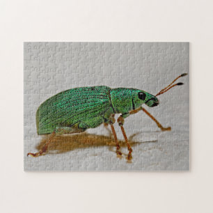 Beau Bug Colorful Weharm Macro Photo Puzzle