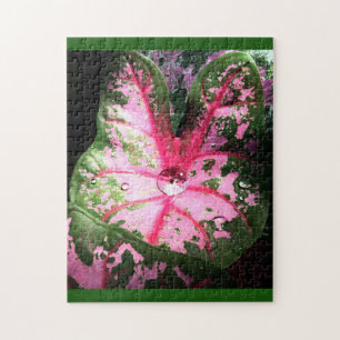 Beau caladium rose Puzzle
