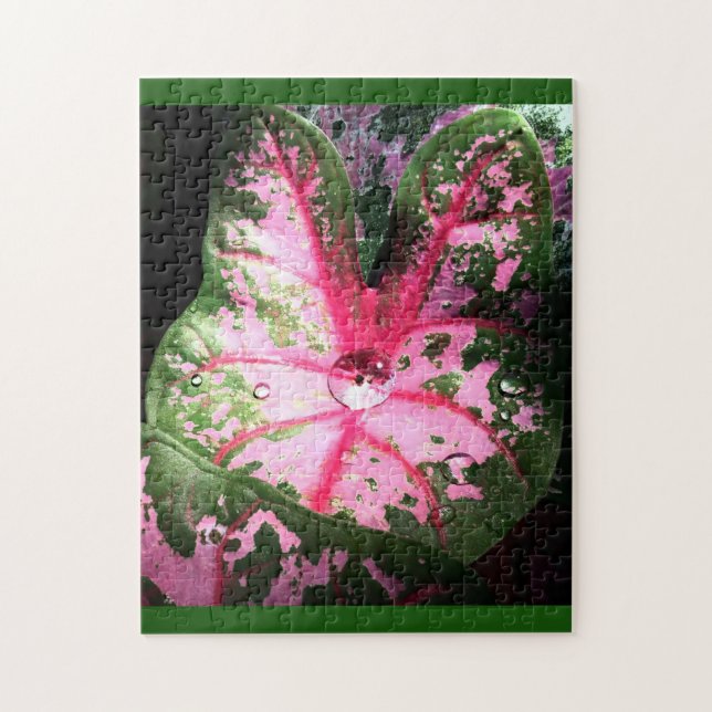 Beau caladium rose Puzzle (Vertical)