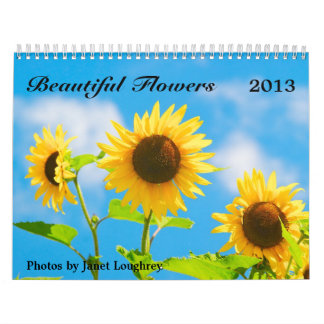 Beau calendrier 2013 de fleurs